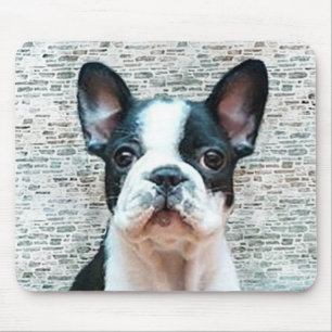 Bulldog mousepad muismat