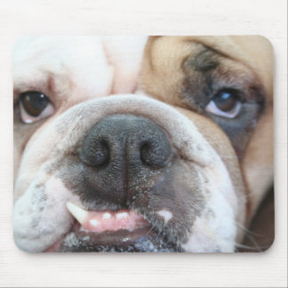 Bulldog Muismat