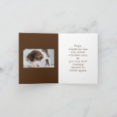 BULLDOG OBTENEZ LA CARTE DE BIEN (Intérieur)