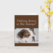 BULLDOG OBTENEZ LA CARTE DE BIEN (Fleur jaune)