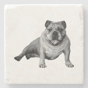 Bulldog Ontspanning Moment Stenen Onderzetter