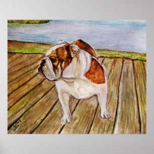Bulldog op de stoep poster