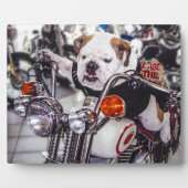 Bulldog op motorfiets fotoplaat (Voorkant)