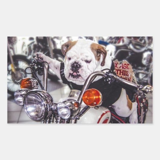Bulldog op motorfiets rechthoekige sticker (Voorkant)