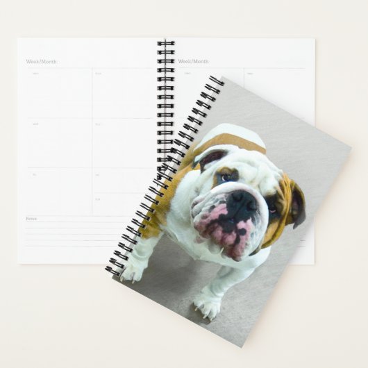 Bulldog Painting - Cute Original Dog Art Planner (Display)