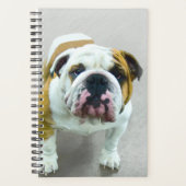 Bulldog Painting - Cute Original Dog Art Planner (Voorkant)