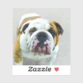 Bulldog Painting - Cute Original Dog Art Sticker (Vel)