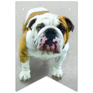 Bulldog Painting - Cute Original Dog Art Vlaggetjes