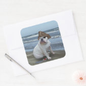 Bulldog pirate vierkante sticker (Envelop)