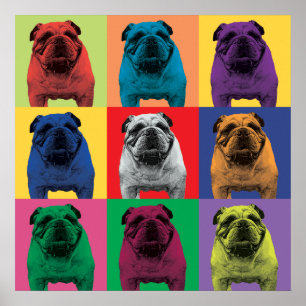 Bulldog Pop-Art Poster