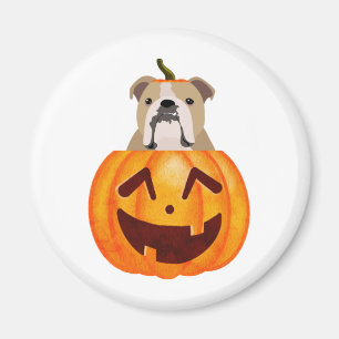 Bulldog Pumpkin Magneet