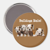 Bulldog Puppies Magnet (Recto/Verso)