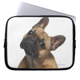 Bulldog puppy (7 maanden oud) laptop sleeve
