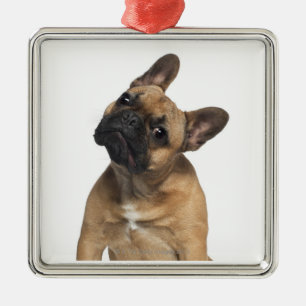 Bulldog puppy (7 maanden oud) metalen ornament