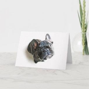 Bulldog Puppy Kaart