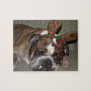 Bulldog puppy reinherder puzzel