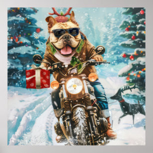 Bulldog rijden motorfiets kerst poster