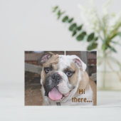 Bulldog "Salut là" Carte postale (Debout devant)