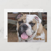 Bulldog "Salut là" Carte postale (Devant / Derrière)