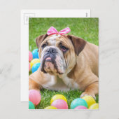 Bulldog Schattige Paashond Hond Hundeportret Huisd Feestdagenkaart (Voorkant / Achterkant)