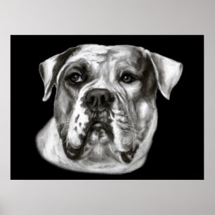 Bulldog schilderij poster