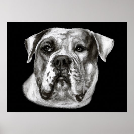 Bulldog schilderij poster (Voorkant)