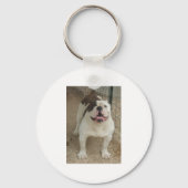 Bulldog Sleutelhanger (Achterkant)