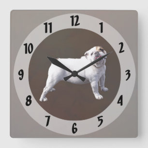 Bulldog Staat Rechtop Vierkante Klok