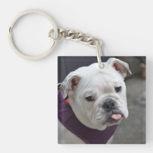 Bulldog Taunt Sleutelhanger
