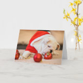 BULLDOG W/ CHRISTMAS BALLS PLIÉ Carte de voeux (Fleur jaune)