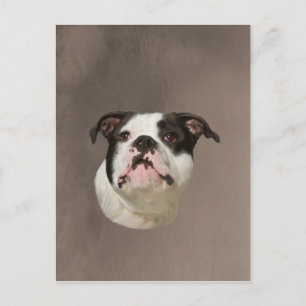Bulldog Water Color Art Painting Briefkaart