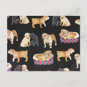 Bulldogs en Shar Peis Briefkaart