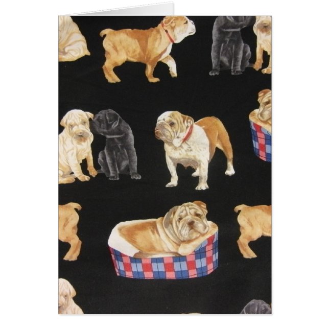 Bulldogs & Shar Peis (Devant)