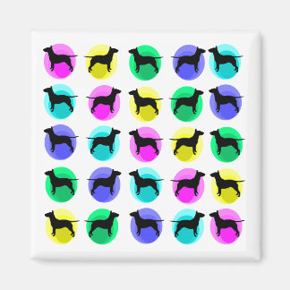 Bullebubbels Multi Magneet