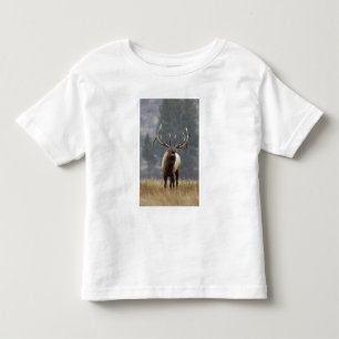 Bulleland bugelend, Yellowstone NP, Wyoming 2 Kinder Shirts