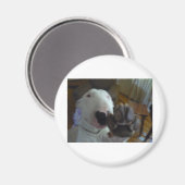 bullepoot magneet (Voorkant / Achterkant)