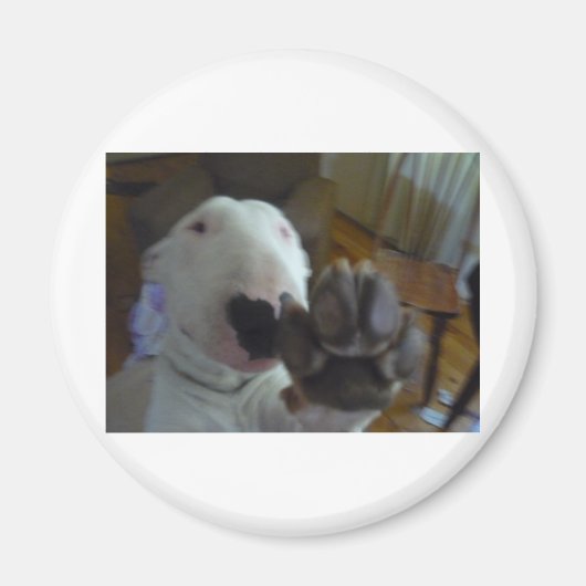 bullepoot magneet (Voorkant)