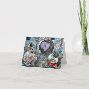 Bulles sur la carte Arbre de Tinsel