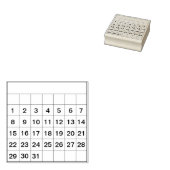 Bullet Journal Maandelijks 31Day Calendar Tracker  Rubberstempel (Gestempeld)