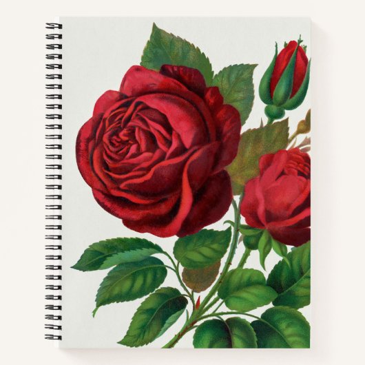 Bullet Journal met groot Roos Notitieboek (Voorkant)