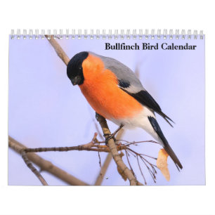 Bullfinch Bird Calendar Kalender