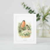 Bullfinch Briefkaart (Staand voorkant)