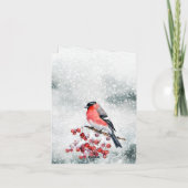 Bullfinch Kerstvogel Sneeuwrode bessen Feestdagen Kaart (Achterkant)