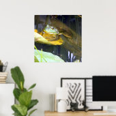 Bullfrog Beauté de bain Poster (Bureau à domicile)