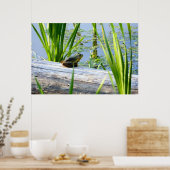 Bullfrog Bliss Poster (Keuken)
