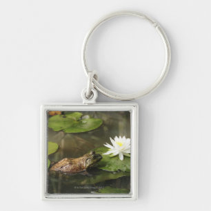 Bullfrog in Lily Pond Sleutelhanger