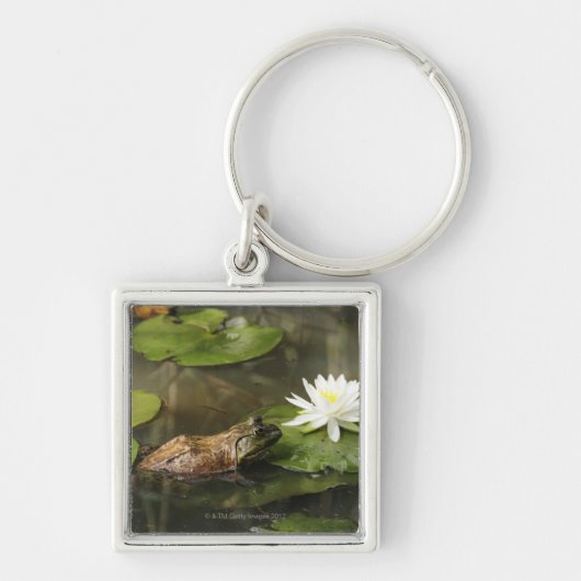 Bullfrog in Lily Pond Sleutelhanger (Voorkant)