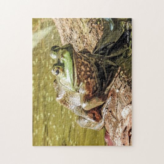 Bullfrog Jigsaw Puzzle (Vertical)