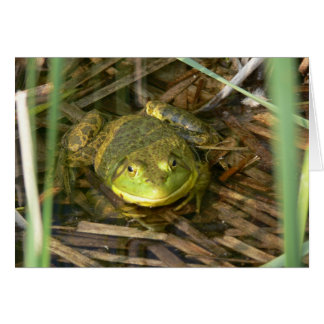 Bullfrog-kaart