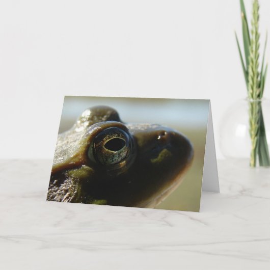 Bullfrog Kaart (Voorkant)
